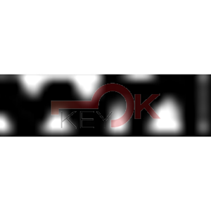 ERREBI - C17R* - MULTIPROF. E PASS NAZIONALI - 05A-OTT