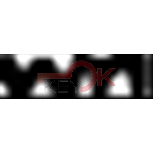 ERREBI - C17R* - MULTIPROF. E PASS NAZIONALI - 05A-OTT