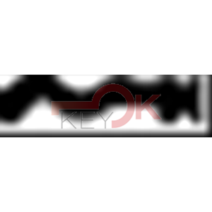 ERREBI - C38* - MULTIPROF. E PASS NAZIONALI - 05A-OTT