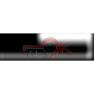 ERREBI - CEM1R* - GAMMA DI SERVIZIO NAZIONALE - 02S-OTT