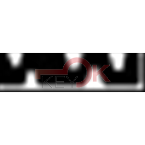 ERREBI - CIS6* - MULTIPROF. E PASS ESTERO - 05B-OTT