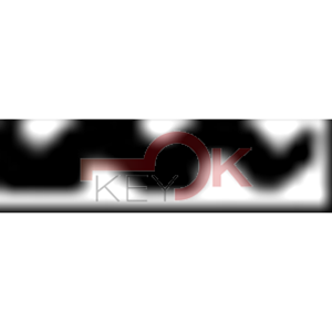 ERREBI - CO30R* - MULTIPROF. E PASS NAZIONALI - 05A-OTT