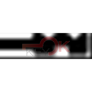 ERREBI - CO36 - GAMMA DI SERVIZIO ESTERO - 03S-ACC