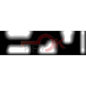 ERREBI - DM1D* - MULTIPROF. E PASS ESTERO - 05B-OTT