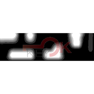 ERREBI - DM1EL* - MULTIPROF. E PASS ESTERO - 05B-OTT