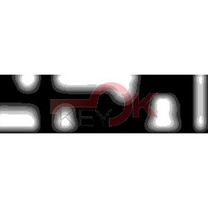 ERREBI - DM1FR* - MULTIPROF. E PASS ESTERO - 05B-OTT