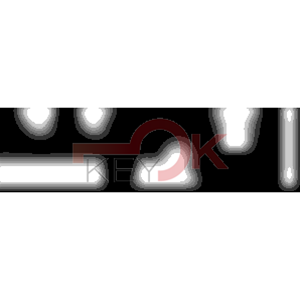 ERREBI - DM1K* - MULTIPROF. E PASS ESTERO - 05B-OTT