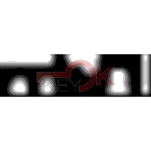 ERREBI - DM1KRL* - MULTIPROF. E PASS ESTERO - 05B-OTT