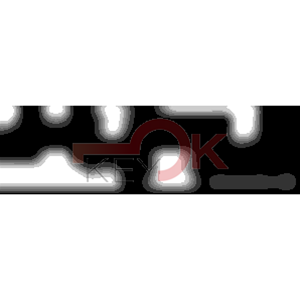 ERREBI - DM21PP* - MULTIPROF. E PASS ESTERO - 05B-OTT