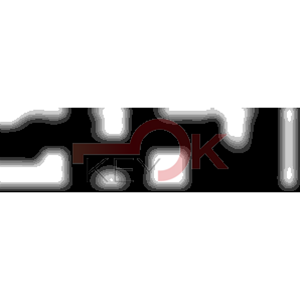 ERREBI - DM24PP* - MULTIPROF. E PASS ESTERO - 05B-OTT