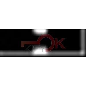 ERREBI - DM27. - SPECIALI ESTERO - Alpacca - Nickel-Silver