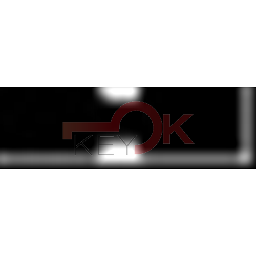 ERREBI - DM27. - SPECIALI ESTERO - Alpacca - Nickel-Silver