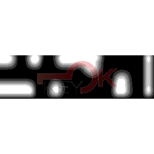 ERREBI - DM2FRL* - MULTIPROF. E PASS ESTERO - 05B-OTT