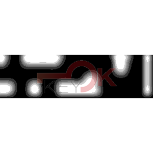 ERREBI - DM2GL* - MULTIPROF. E PASS ESTERO - 05B-OTT