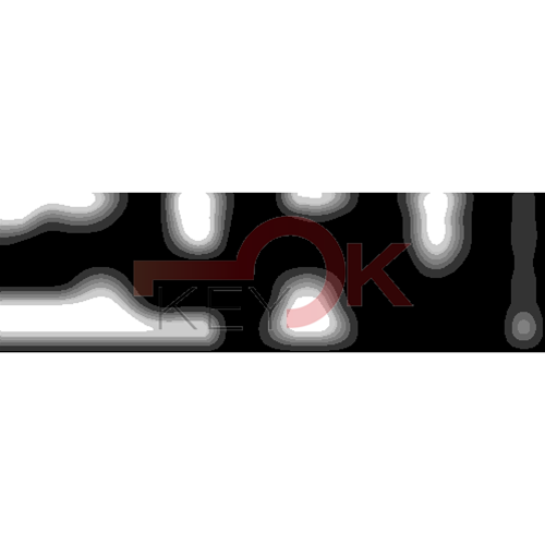 ERREBI - DM2PP* - MULTIPROF. E PASS ESTERO - 05B-OTT