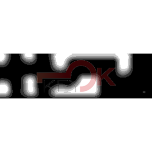 ERREBI - DM33PP* - MULTIPROF. E PASS ESTERO - 05B-OTT