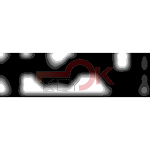 ERREBI - DM37PP* - MULTIPROF. E PASS ESTERO - 05B-OTT