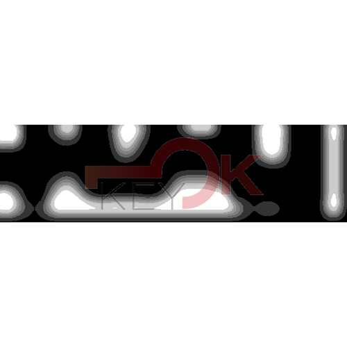 ERREBI - DM43PP* - MULTIPROF. E PASS ESTERO - 05B-OTT