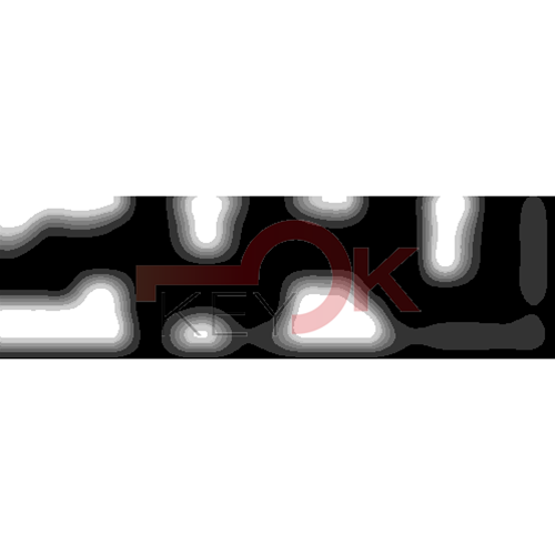 ERREBI - DM44PP* - MULTIPROF. E PASS ESTERO - 05B-OTT