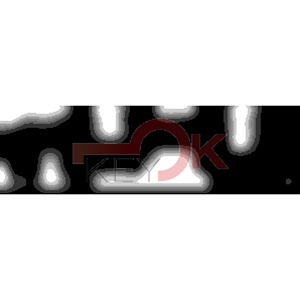 ERREBI - DM46PP* - MULTIPROF. E PASS ESTERO - 05B-OTT