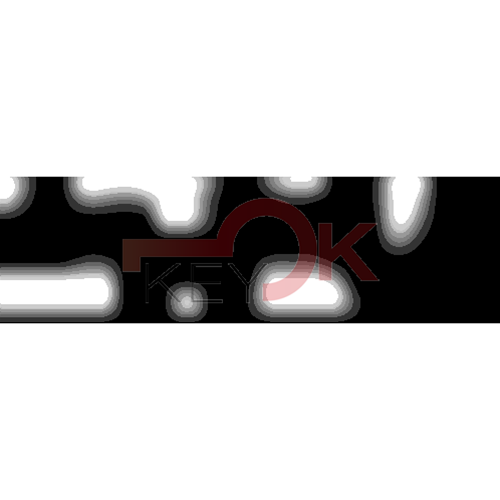 ERREBI - DM47PP* - MULTIPROF. E PASS ESTERO - 05B-OTT