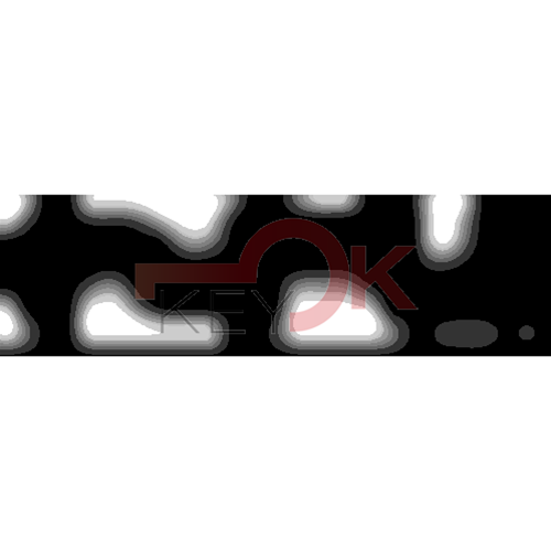 ERREBI - DM48PP* - MULTIPROF. E PASS ESTERO - 05B-OTT