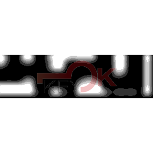 ERREBI - DM51PP* - MULTIPROF. E PASS ESTERO - 05B-OTT