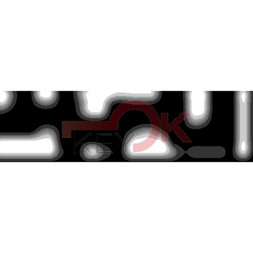 ERREBI - DM51PP* - MULTIPROF. E PASS ESTERO - 05B-OTT