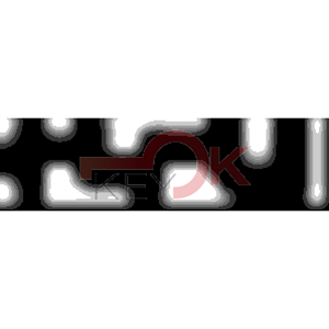 ERREBI - DM53PP* - MULTIPROF. E PASS ESTERO - 05B-OTT