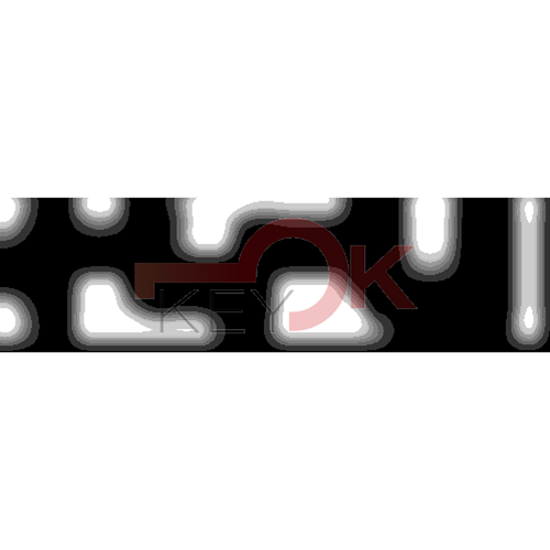 ERREBI - DM53PP* - MULTIPROF. E PASS ESTERO - 05B-OTT