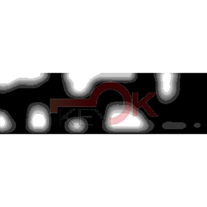 ERREBI - DM54PP* - MULTIPROF. E PASS ESTERO - 05B-OTT