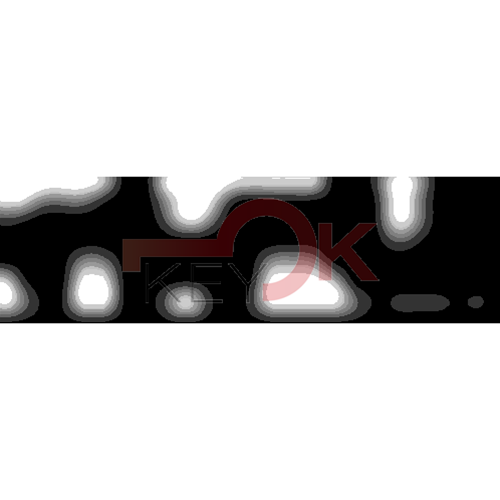 ERREBI - DM54PP* - MULTIPROF. E PASS ESTERO - 05B-OTT