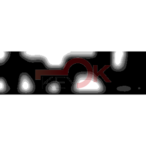 ERREBI - DM55PP* - MULTIPROF. E PASS ESTERO - 05B-OTT