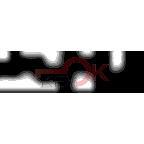 ERREBI - DM5PP* - MULTIPROF. E PASS ESTERO - 05B-OTT