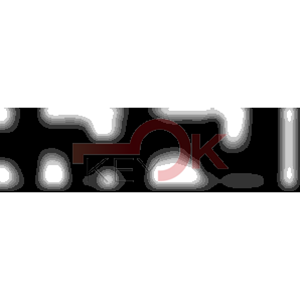 ERREBI - DM60PP* - MULTIPROF. E PASS ESTERO - 05B-OTT