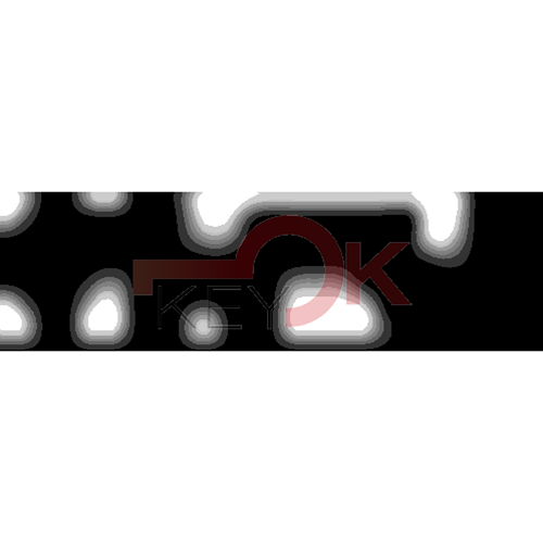 ERREBI - DM61PP* - MULTIPROF. E PASS ESTERO - 05B-OTT