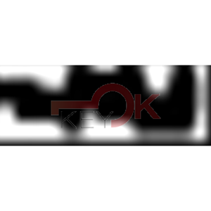 ERREBI - DM91* - MULTIPROF. E PASS ESTERO - 05B-OTT