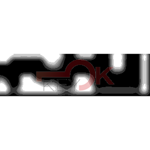 ERREBI - DM9PP* - MULTIPROF. E PASS ESTERO - 05B-OTT