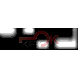 ERREBI - DT9P43 - PROFILI AUTO TESTA PLAST. - Acciaio - Steel