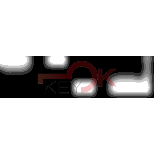 ERREBI - DT9P43 - PROFILI AUTO TESTA PLAST. - Acciaio - Steel