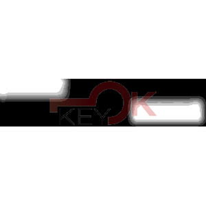 ERREBI - DW5P146 - PROFILI AUTO TESTA PLAST. - 20A-ACC