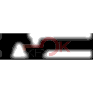 ERREBI - ESS24RL* - MULTIPROF. E PASS ESTERO - 05B-OTT