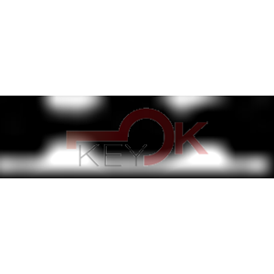 ERREBI - EV16R* - MULTIPROF. E PASS ESTERO - 05B-OTT