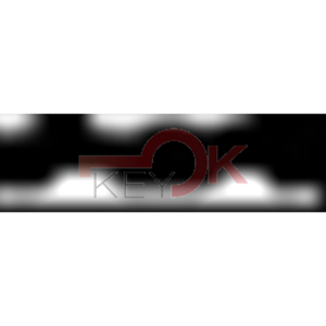 ERREBI - EV18R* - MULTIPROF. E PASS ESTERO - 05B-OTT