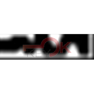 ERREBI - EV5BB* - GAMMA DI SERVIZIO ESTERO - 03S-OTT