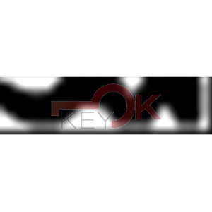 ERREBI - EV5S1* - GAMMA DI SERVIZIO ESTERO - 03S-OTT