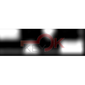 ERREBI - FRT1 - GAMMA DI SERVIZIO AUTO - 17S-ACC