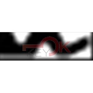 ERREBI - GA4S - PROFILI ESTERO (03A-ACC)