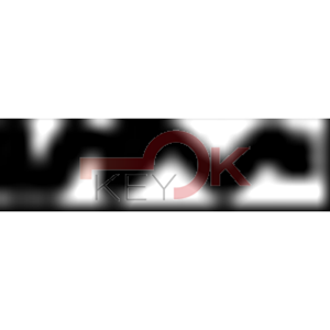 ERREBI - GG38R - MULTIPROF. E PASS ESTERO - 05B-OTT