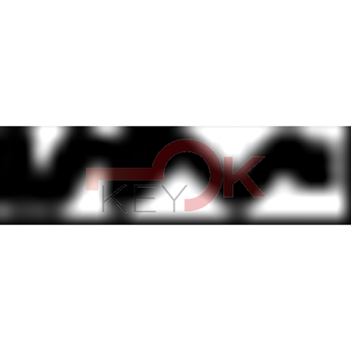 ERREBI - GG38R - MULTIPROF. E PASS ESTERO - 05B-OTT